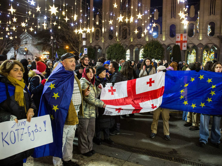 Полиция Грузии задержала шесть человек на акции протеста в центре Тбилиси