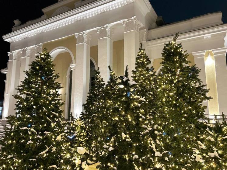 Погода в Рязани 30 декабря: предновогодняя оттепель и сильный ветер