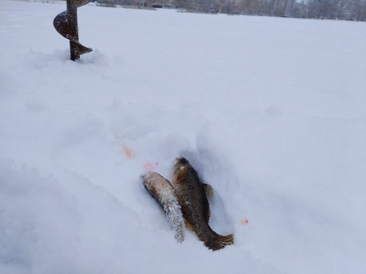 В Хакасии собрались почти 30 человек на соревнованиях по рыболовному спорту