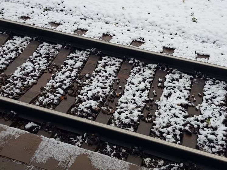 В Химках 2 мужчин попали под колеса электрички