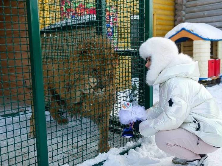 Ирина Текслер исполнила новогоднее желание льва Шираза