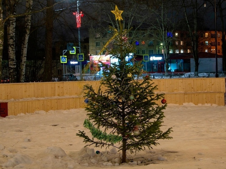 Одинокую ёлочку пожалели прохожие в Сегеже