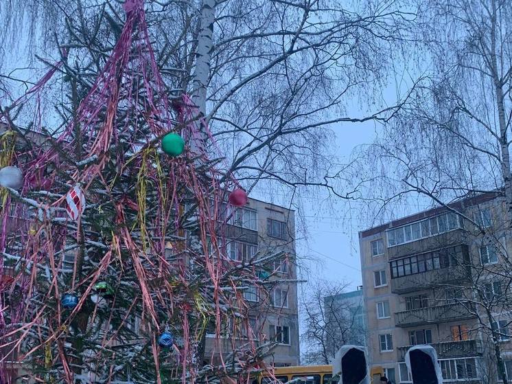 Ни дня без приключений: великолучане в поисках новогодней ели