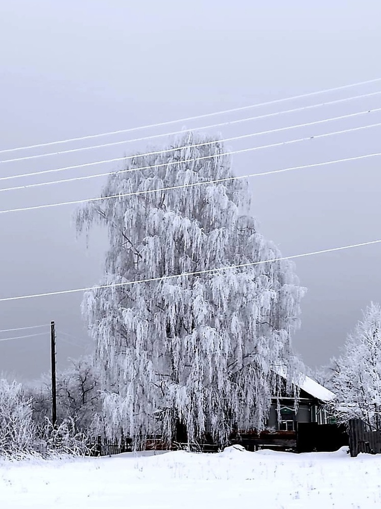 Саратовец прислал сказочное фото из несуществующей деревни