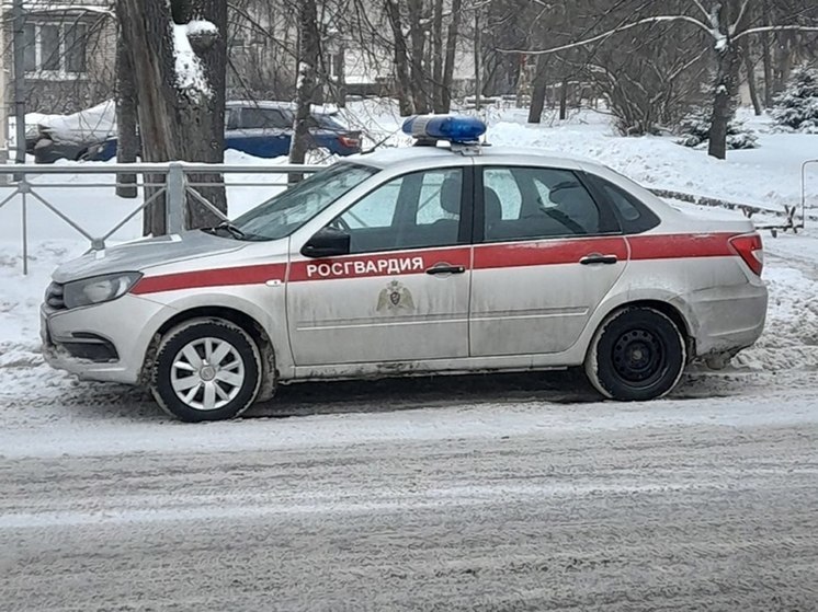 В Абакане юные кадеты поздравили взрослых коллег с Новым годом