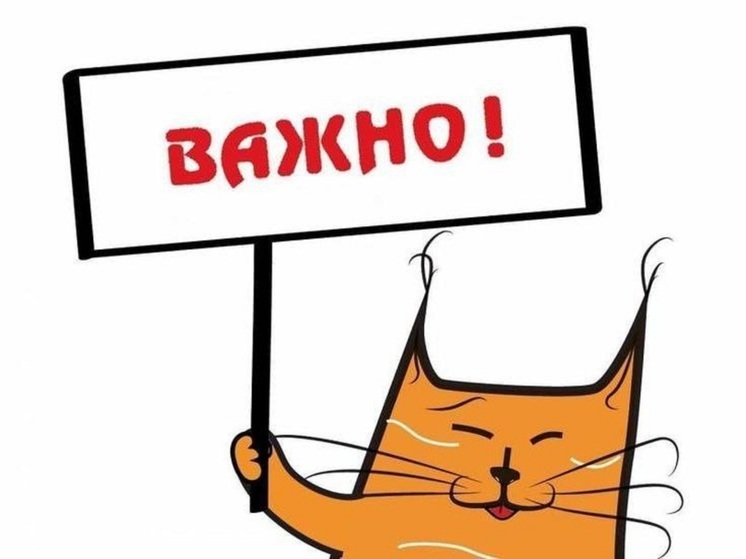Телефоны оперативных и экстренных служб Псковской области: полный справочник