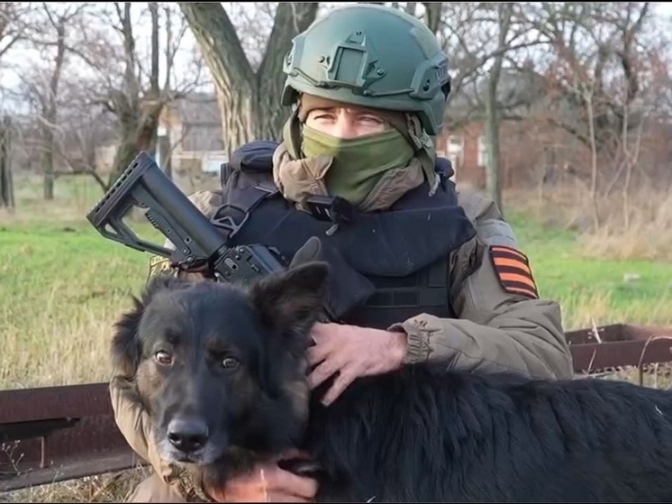 Пензенский боец СВО и его четвероногий друг поздравили граждан с наступающим Новым годом