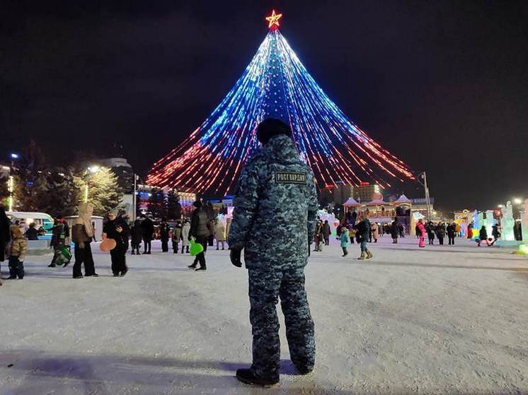 В Бурятии новогоднюю ночь и каникулы возьмут под охрану росгвардейцы