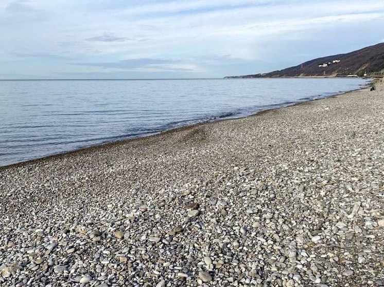 В Сириусе протестируют новый метод очистки почвы и воды из Анапы