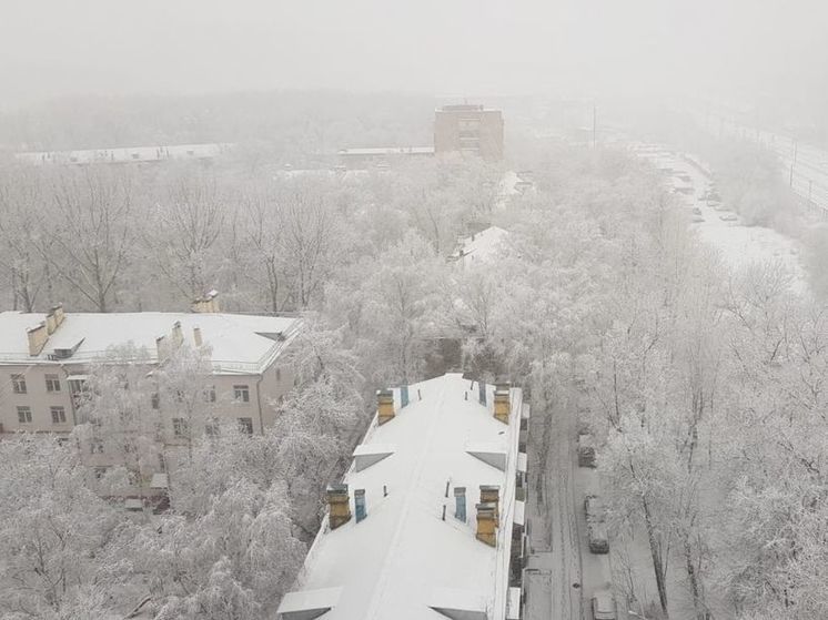 Жителей Подмосковья предупредили о магнитной буре