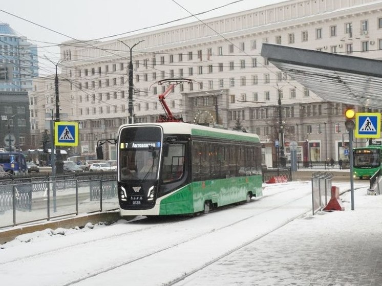 Синоптики ждут сильные метели в первый день 2025 года на Южном Урале