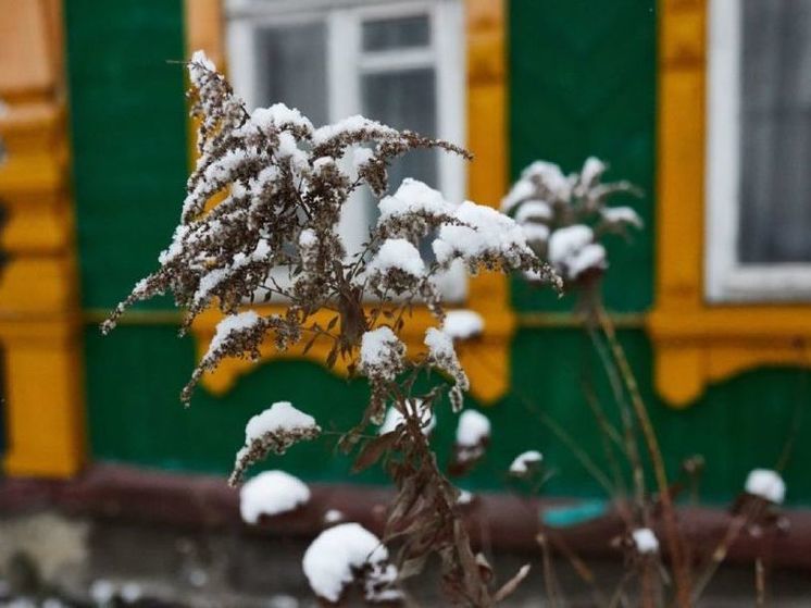 1 января в Пензенской области ожидается гололед, мощный ветер и до -6 градусов