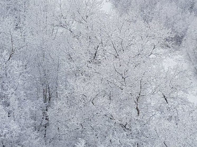 «Оранжевый» уровень погодной опасности объявлен в Подмосковье