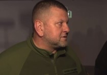 Бывший главком ВСУ, а ныне посол Украины в Великобритании Валерий Залужный раскрыл в своей книге, как еще в 25 лет гадалка напророчила ему быть "главным" на большой войне