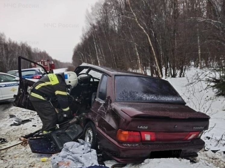 В Ферзиковском районе в ДТП пострадали несколько человек