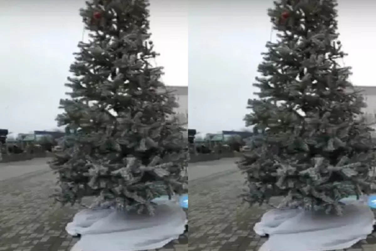 Ростовчане пожаловались на новогоднюю ель в Советском районе города
