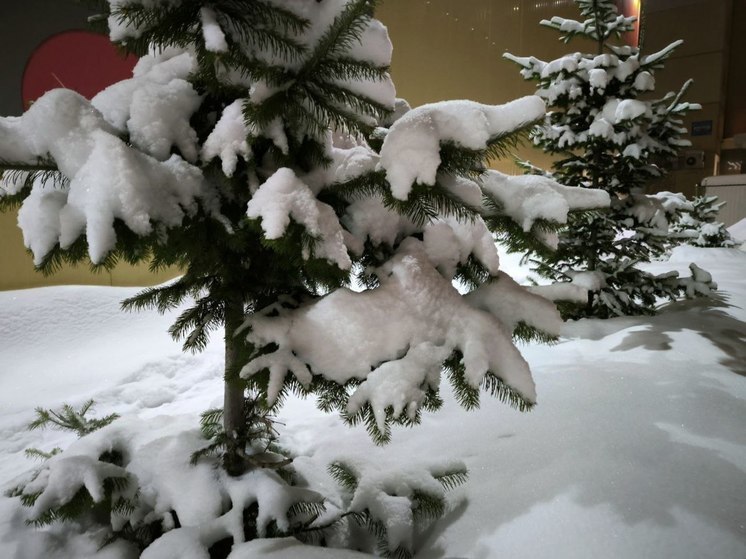 Во второй день 2025 года томские синоптики прогнозируют снег и легкий мороз