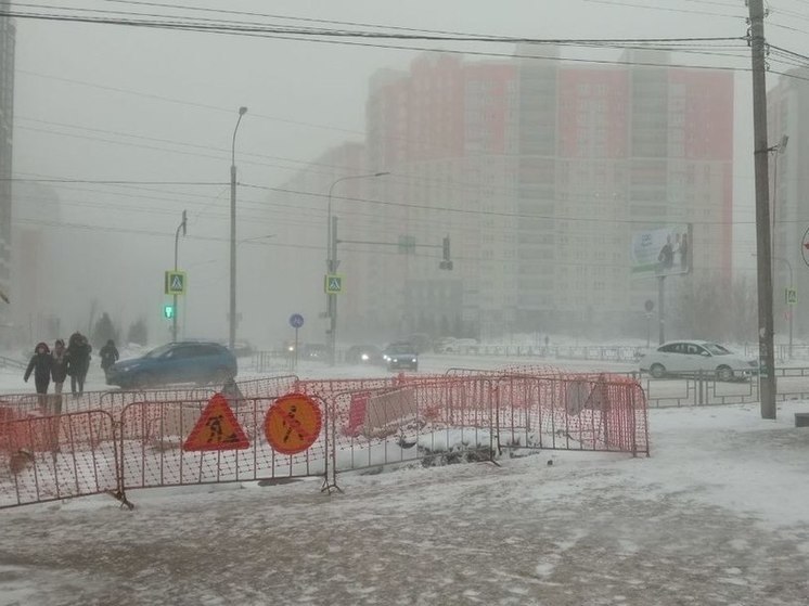 Ветер и метели прогнозируют в Алтайском крае на 3 января