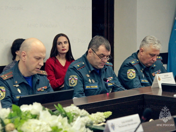 Новосибирская область вошла в новый год без происшествий