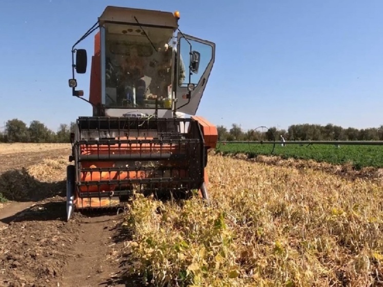 В волгоградских селах решают проблему нехватки кадров для АПК