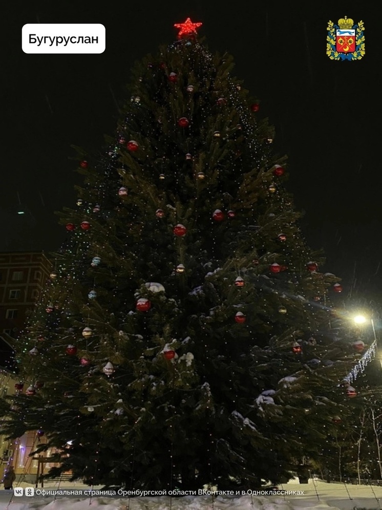 Ëлки Оренбуржья поборются за звание лучших в России