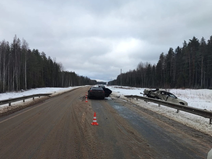 Смертельное ДТП произошло 2 января в Чагодощенском округе