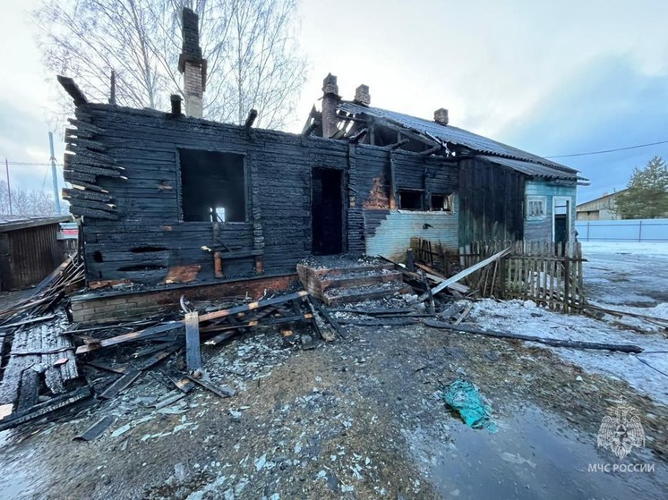 Новгородка погибла при пожаре во время приготовления еды в селе Опеченский Посад