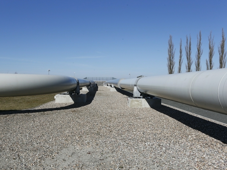 Депутат Бундестага Дагделен призвала запустить "Северный поток"