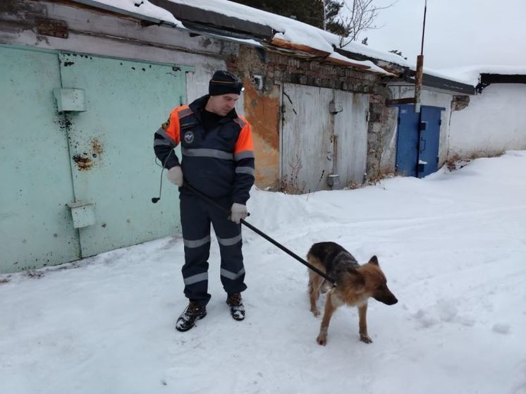 В Башкирии спасатели вытащили упавшую в погреб собаку