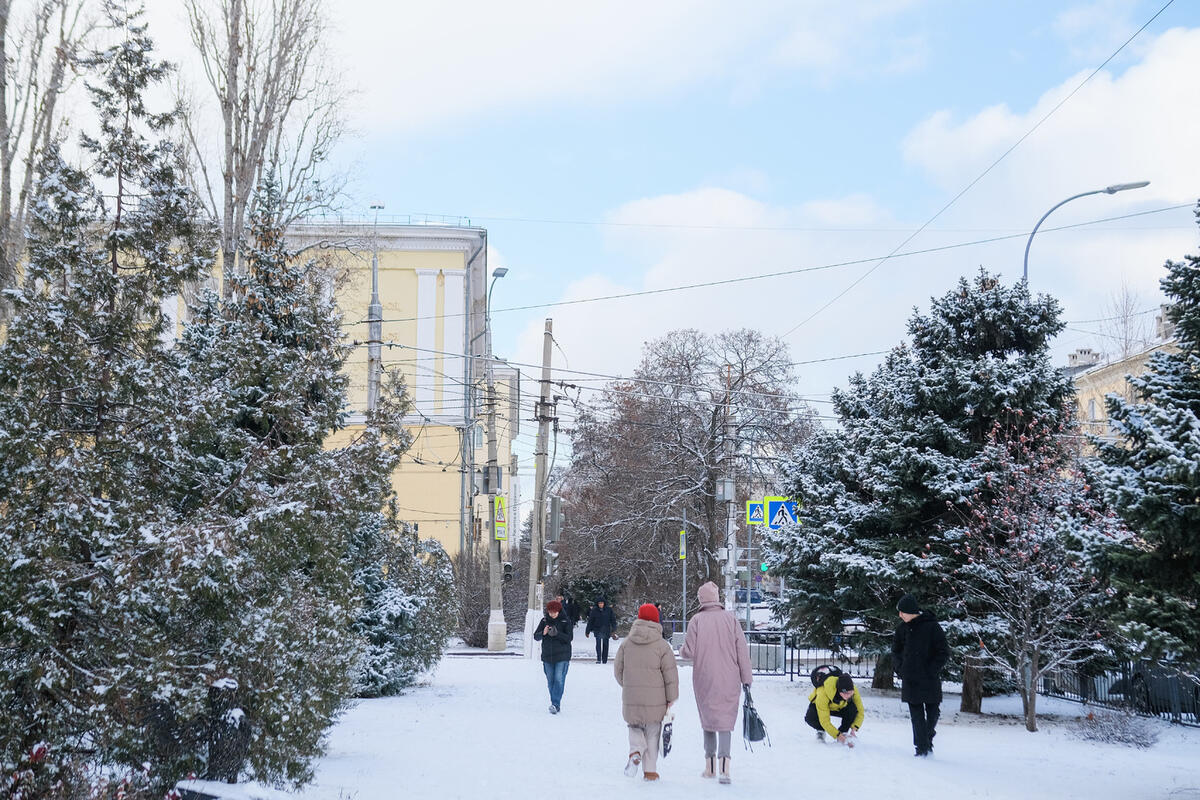 Волгоградцев предупредили о ветре до 18 м/с при +10 градусах 3 января