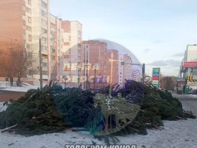Пензенцы недовольны тем, как поступают с нераспроданными елками