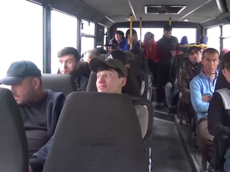 Свыше 5 тысяч мигрантов принудительно выдворили из Подмосковья в 2024 году