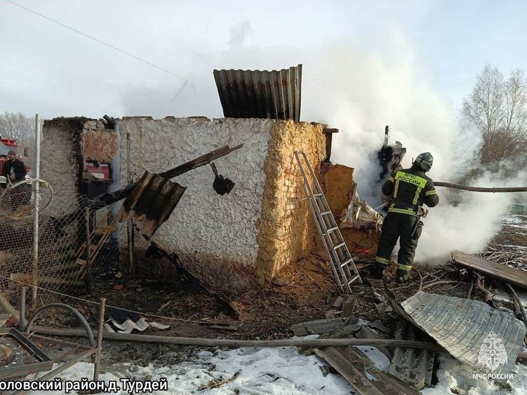 Четыре пожара зафиксировали в Тульской области 2 января