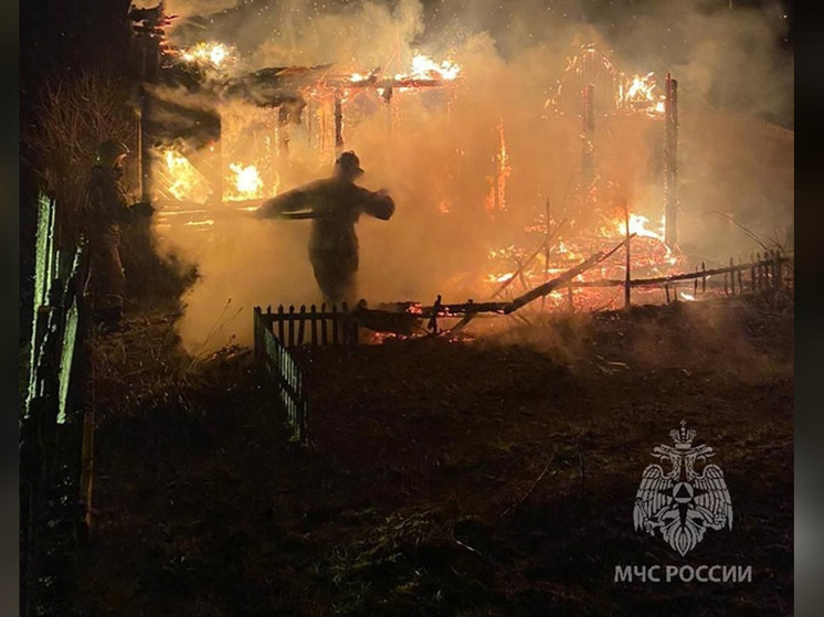 В Сольцах пламя уничтожило садовый домик