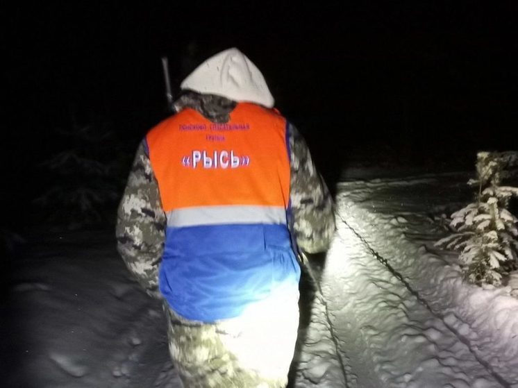 Нижегородские поисковики спасли замерзающую бабушку из Иванова