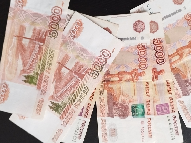 Более чем на 10 тысяч рублей повысились выплаты для опекунов из Заполярья