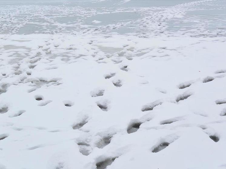 В Воронеже 25 человек осмелились выйти на тонкий лед водохранилища