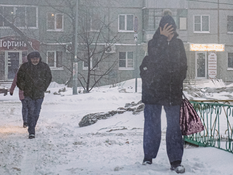 Из-за снега и ветра в ночь на 4 января тульская ГИБДД ожидает ухудшение обстановки на дорогах