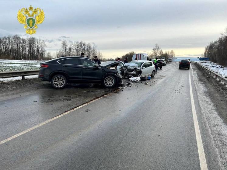 Два человека погибли и семь пострадали в ДТП на трассе под Рязанью 3 января