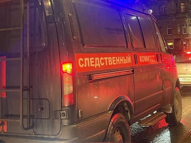 СК проверяет вырубку леса и засыпку озера во Всеволожском районе