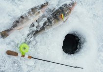 Ловить мормышку со льда участники состязаний будут в воскресенье, 5 января