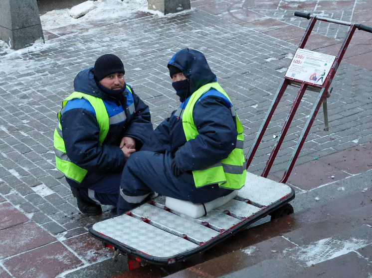 Правительство постановило формировать цифровой профиль мигранта с 30 июня 2025 года