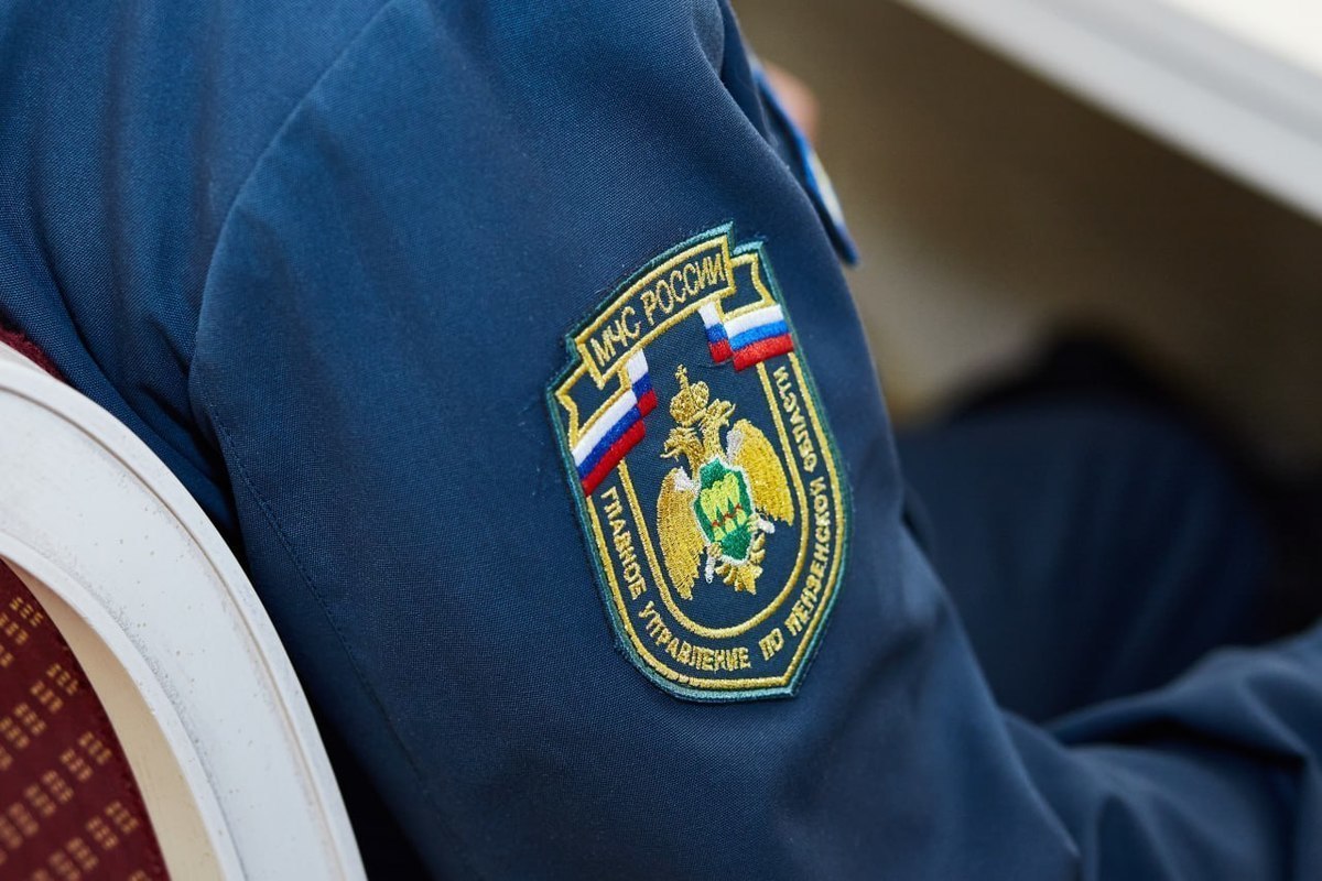 За прошедшие сутки в Пензенской области было ликвидировано 3 пожара