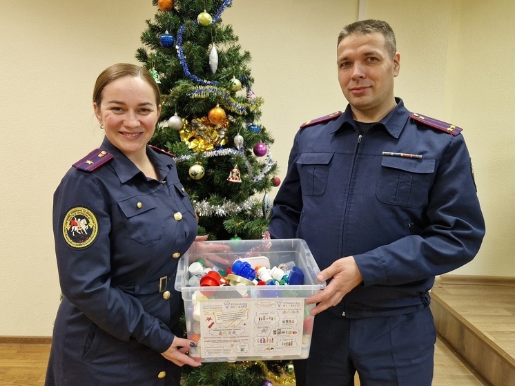 В новогодние праздники региональное следственное управление СК приняло участие в благотворительном проекте