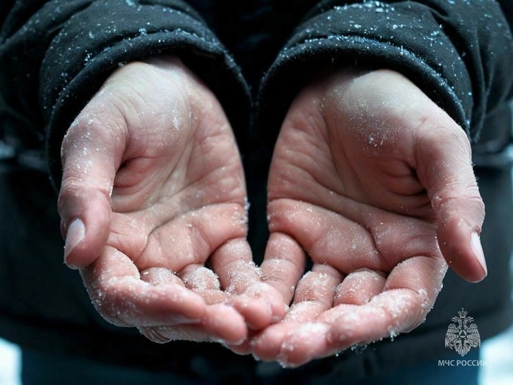 Псковичам рассказали, как уберечься от обморожения