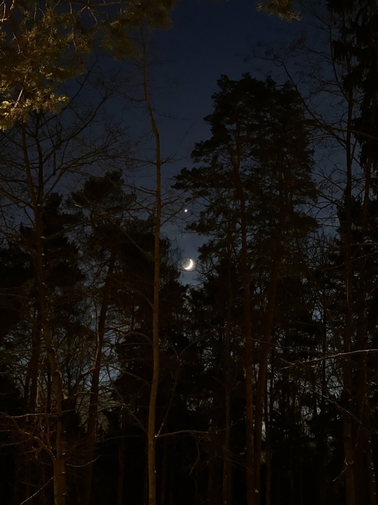 Калужане наблюдали космический дуэт Луны и Венеры