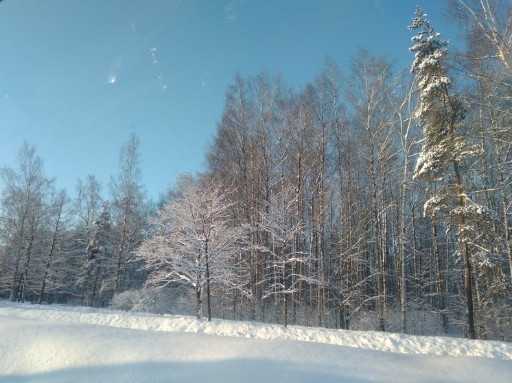 В Хакасии 4 января ожидаются ветра и метели