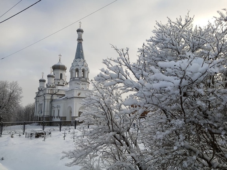 В Ленобласти потеплеет до −9 градусов 5 января