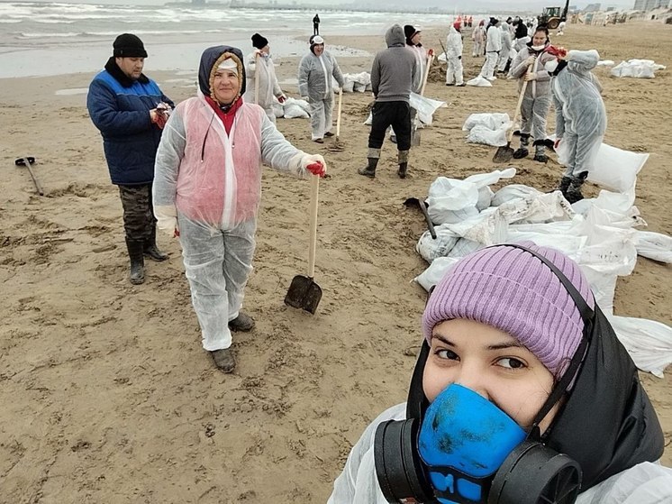 Жителям Новосибирска рассказали, как помочь в спасении птиц от мазута в Черном море