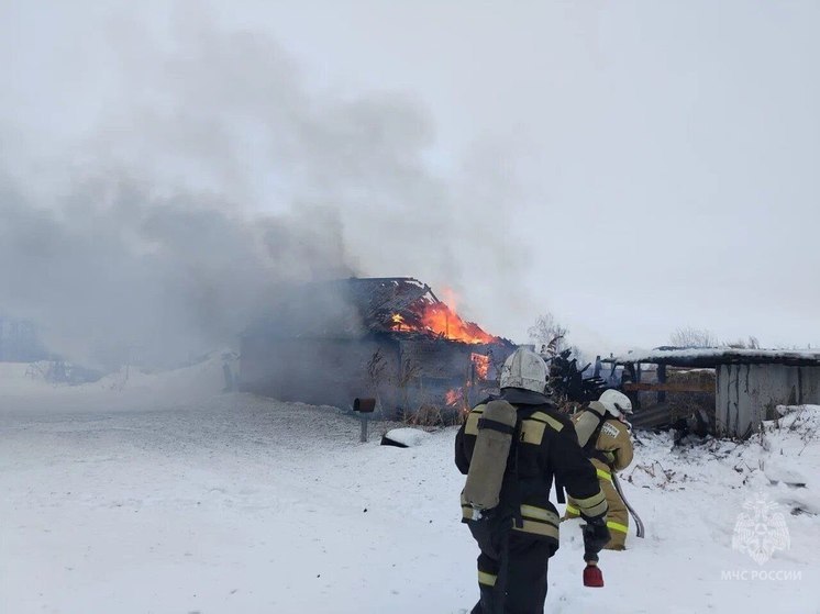 Пожар в сарае в селе Омской области отнял жизни 37 животных